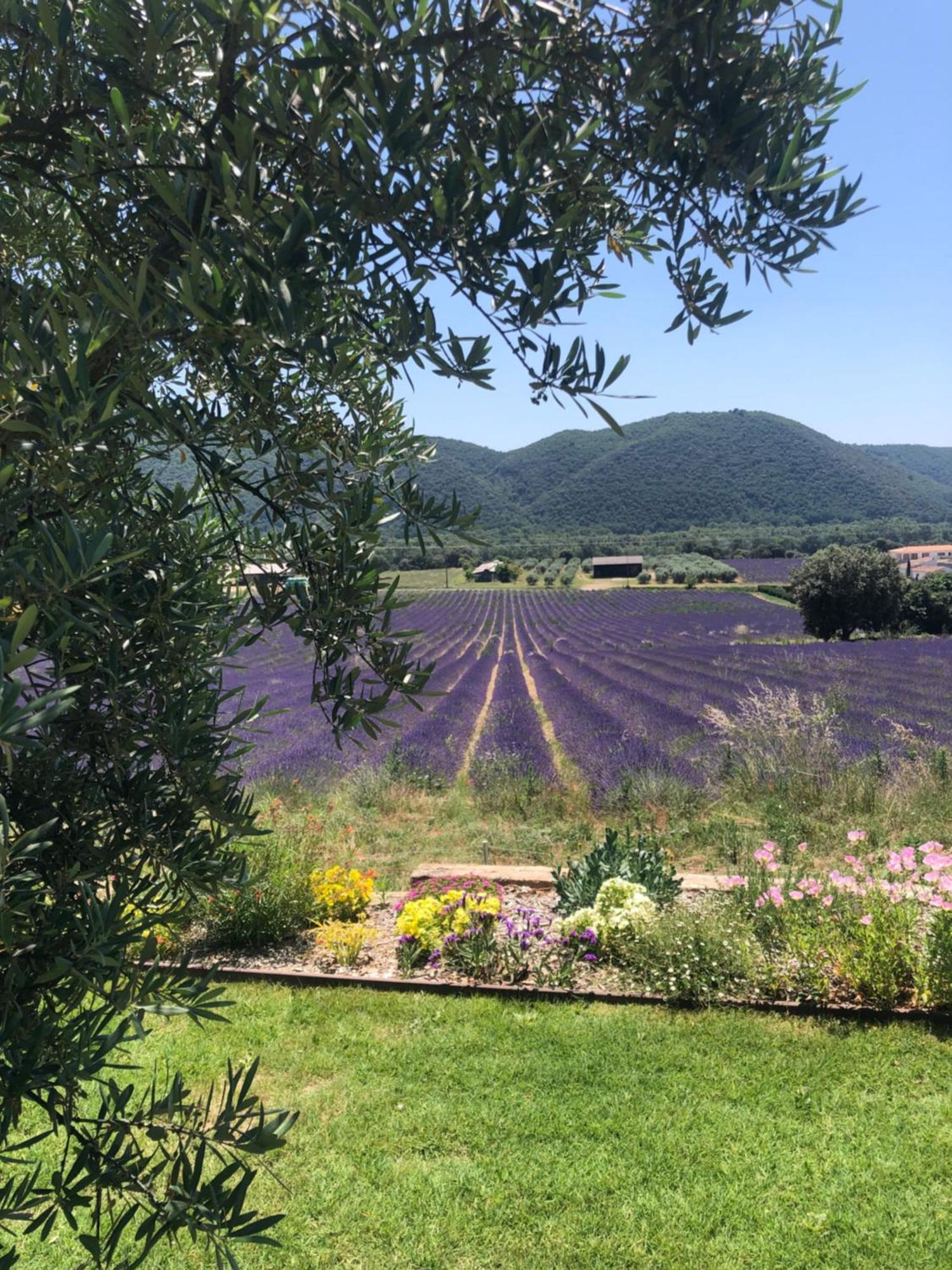 Hotel The View Aix-En-Provence Esterno foto
